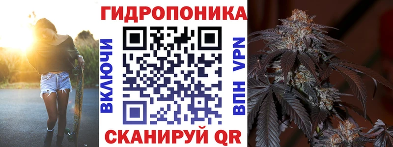 Купить закладки  Кяхта  Конопля индика 